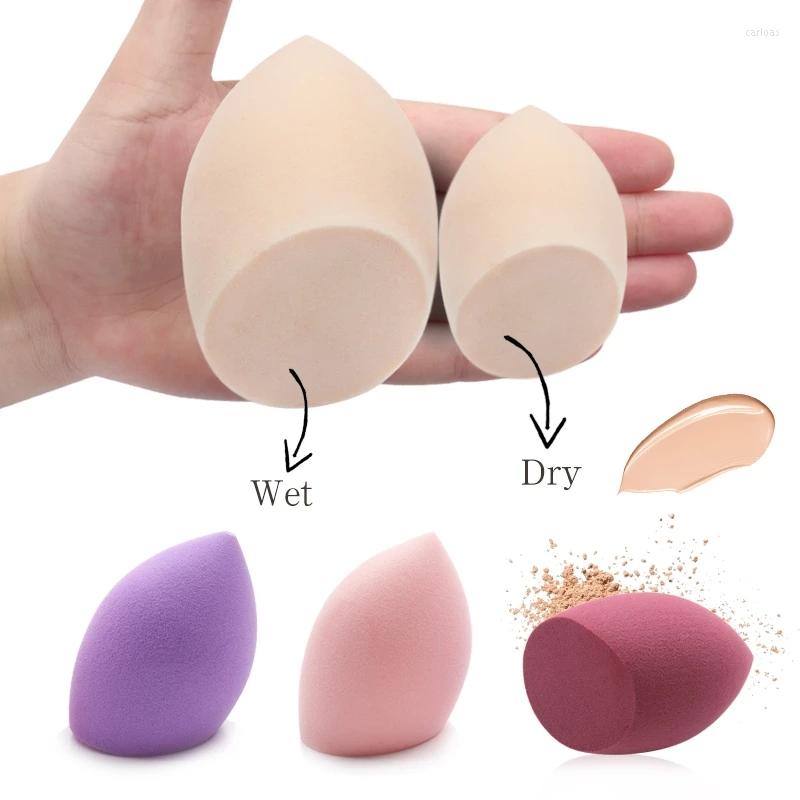 Makeup Sponges 5pcs Foundation Sponge Cosmetic Puff Powder Reusable Smooth Beauty Health Tools Washable Clean For Female
Makeup Sponges 5pcs Foundation Sponge Cosmetic Puff Powder Reusable Smooth Beauty Health Tools Washable Clean For Female
