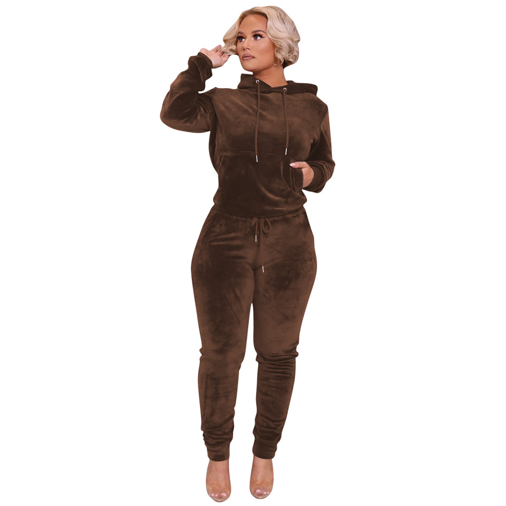 Wholesale Velvet Tracksuits Women Fall Winter Clothes Long Sleeve Sweatsuits Hooded Hoodie AND Pants Two Piece Set Matching Casual Outfits Jogging sui