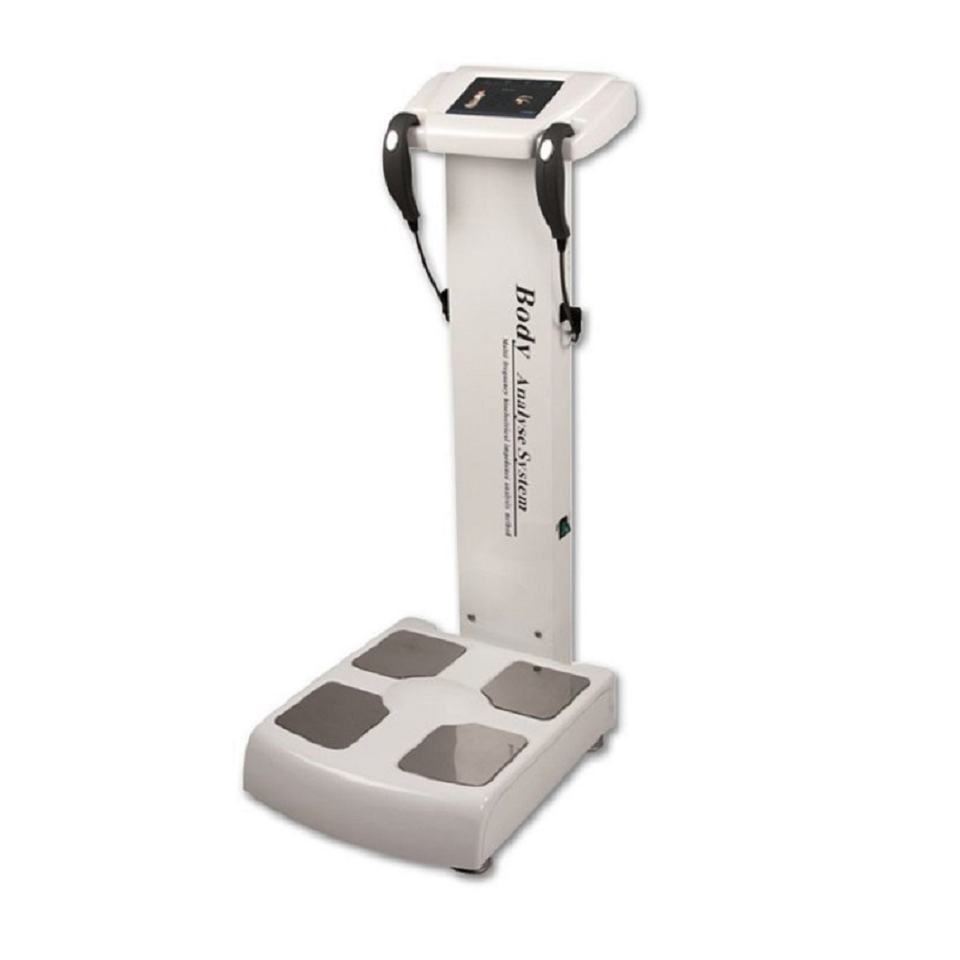 Body Composition Analyzer Body Fat Scale Precise Measuring Machine GS6.5B Quantum Resonance Magnetic Health Analyzers Printer