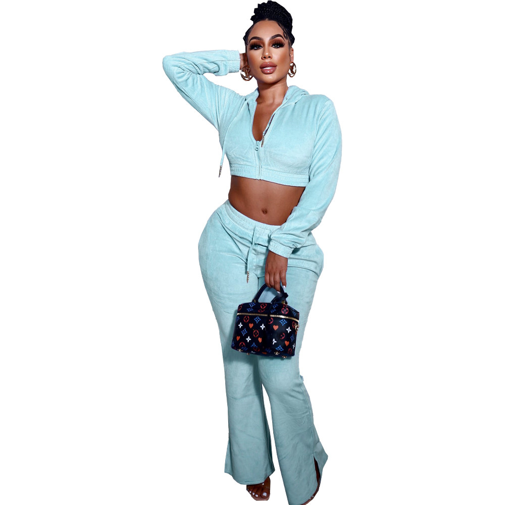 Wholesale Velvet Tracksuits Women Two Piece Sets Fall Winter Clothes Sweatsuits Long Sleeve Hooded Jacket And Flare Pants Casual Velour Sportswear 875