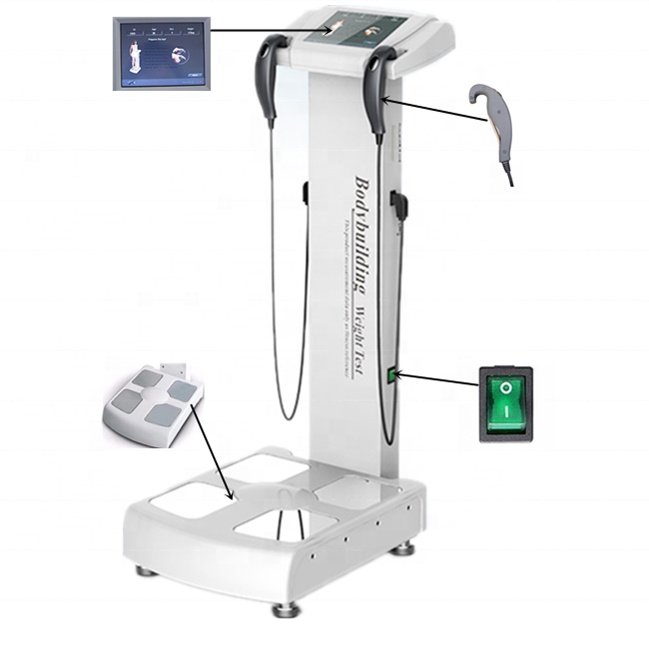 Professional Human Body Composition Analyzer Fat Bodies Composition Analyzer With Printer