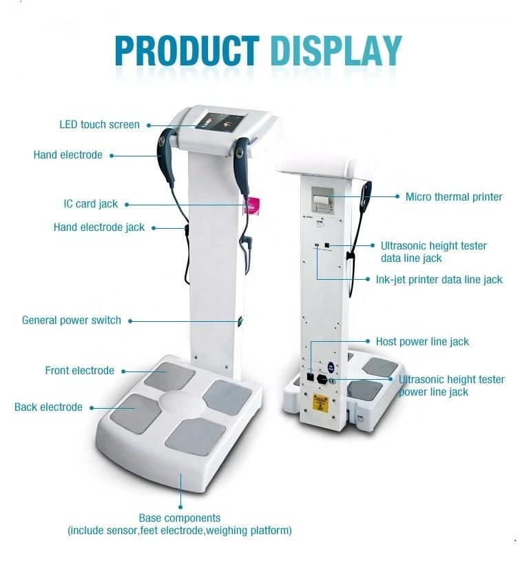 Professional Human Body Composition Analyzer Fat Bodies Composition Analyzer With Printer