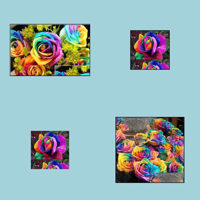 Wedding Flowers Sale Rainbow Rose Seeds X80 Per Packagex Color Garden Plants Drop Delivery 2022 Wedding Party Events Supplies Dhtpe
Wedding Flowers Sale Rainbow Rose Seeds X80 Per Packagex Color Garden Plants Drop Delivery 2022 Wedding Party Events Supplies Dhtpe