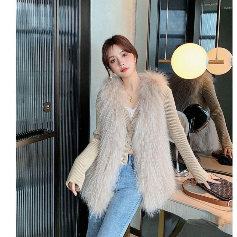 Women's Fur 2022 Korean Style Female Faux Mink Vest Women Sleeveless Fake Outerwear Multi-size Waistcoat Autumn Winter Tops J21, Khaki
Women's Fur 2022 Korean Style Female Faux Mink Vest Women Sleeveless Fake Outerwear Multi-size Waistcoat Autumn Winter Tops J21, Khaki