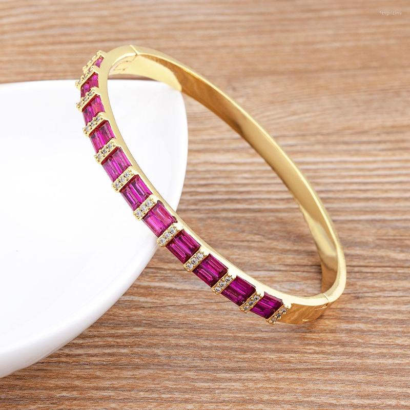 Bangle Nidin Luxury Geometric Zircon Bracelet Bangles Women Pink Green Blue Crystal Cuff Elegant Wedding Party Statement Jewelry
Bangle Nidin Luxury Geometric Zircon Bracelet Bangles Women Pink Green Blue Crystal Cuff Elegant Wedding Party Statement Jewelry