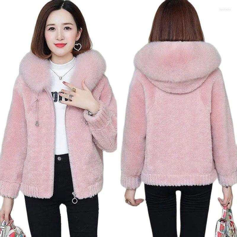 Women' Wool Winter Imitate Fur Sheep Cut Velvet Ladies Overcoat Hair Hooded Lamb Thicken Women' Warm Jacket, Pink
Women' Wool Winter Imitate Fur Sheep Cut Velvet Ladies Overcoat Hair Hooded Lamb Thicken Women' Warm Jacket, Pink