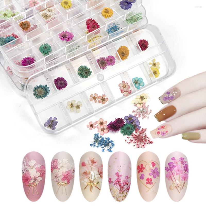 Nail Art Decorations 12 Color Starry Daisy Lace 3D Dry Flowers Stickers Real Dried Flower Decoration Tips DIY Manicure Tools With Box
Nail Art Decorations 12 Color Starry Daisy Lace 3D Dry Flowers Stickers Real Dried Flower Decoration Tips DIY Manicure Tools With Box