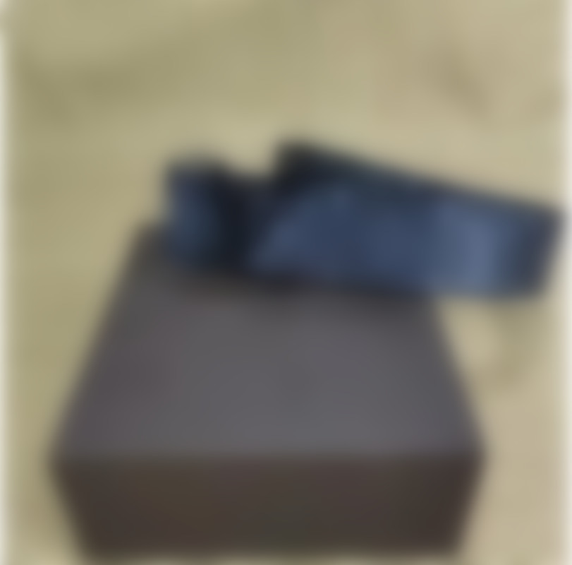 luxury belt Men New Genuine Leather Promotional Automatic E Buckle Belts Fashion Gift Belt LVS Louisseity Viutonity VUTTONS GGs, Hight quality
luxury belt Men New Genuine Leather Promotional Automatic E Buckle Belts Fashion Gift Belt LVS Louisseity Viutonity VUTTONS GGs, Hight quality