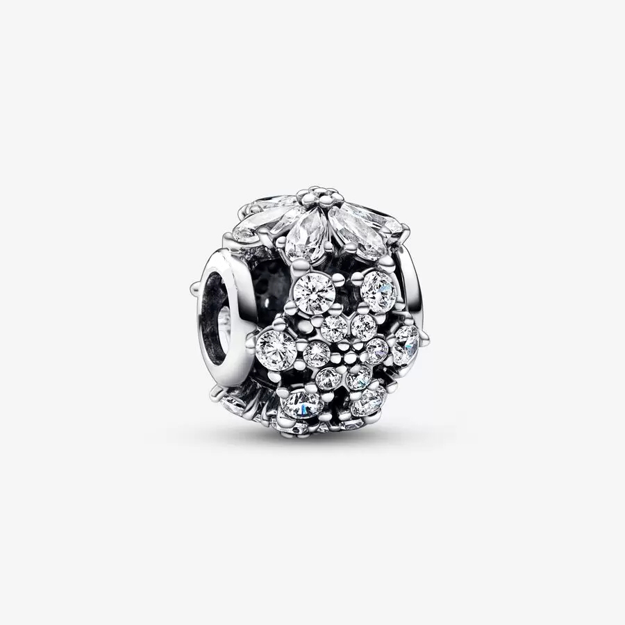 925 Sterling Silver Sparkling Herbarium Cluster Round Charms Fit Original European Charm Bracelet Fashion Women Halloween Jewelry Accessories
925 Sterling Silver Sparkling Herbarium Cluster Round Charms Fit Original European Charm Bracelet Fashion Women Halloween Jewelry Accessories
