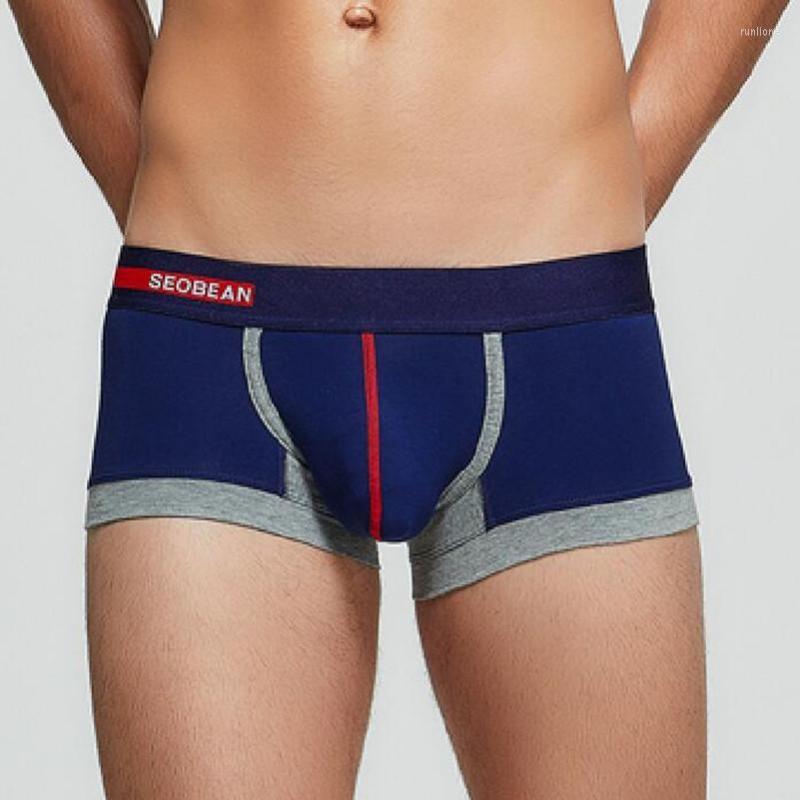 Underpants 3pcs/lot Men's Boxer Underwear Cotton Low-waist Sexy Comfortable And Breathable Shorts Male, Blue
Underpants 3pcs/lot Men's Boxer Underwear Cotton Low-waist Sexy Comfortable And Breathable Shorts Male, Blue