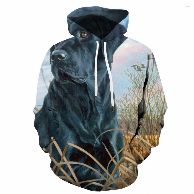 Men's Hoodies 3d Dog Sweatshirts Men Animal Sweatshirt Printed Landscape Hoody Anime Harajuku Hooded Casual Unisex Hip Hop Winter, Wy-aaa2-10111
Men's Hoodies 3d Dog Sweatshirts Men Animal Sweatshirt Printed Landscape Hoody Anime Harajuku Hooded Casual Unisex Hip Hop Winter, Wy-aaa2-10111