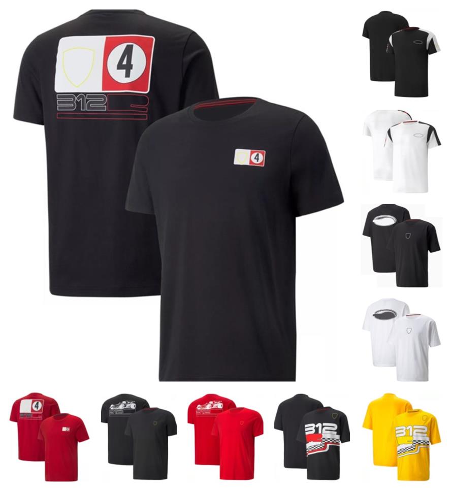 New F1 team suit men's and women's racing series sports T-shirt custom short sleeve quick-drying top
New F1 team suit men's and women's racing series sports T-shirt custom short sleeve quick-drying top