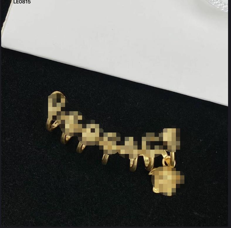 Fashion new designed Ear hoop V letter ladies Earings Banshee Medusa head portrait brass 18K gold plated women ear stud Designer Jewelry VS-040
Fashion new designed Ear hoop V letter ladies Earings Banshee Medusa head portrait brass 18K gold plated women ear stud Designer Jewelry VS-040