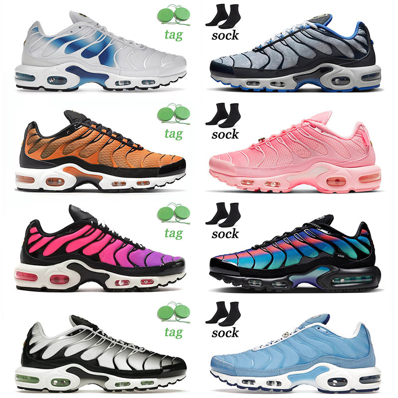 Authentic OG Tn Plus Men Running Shoes Dusk University Blue Triple Unity Tns Tuned Gum ScofalMen Women Sneaekrs Trainers Outdoor Sneakers PV7D
Authentic OG Tn Plus Men Running Shoes Dusk University Blue Triple Unity Tns Tuned Gum ScofalMen Women Sneaekrs Trainers Outdoor Sneakers PV7D