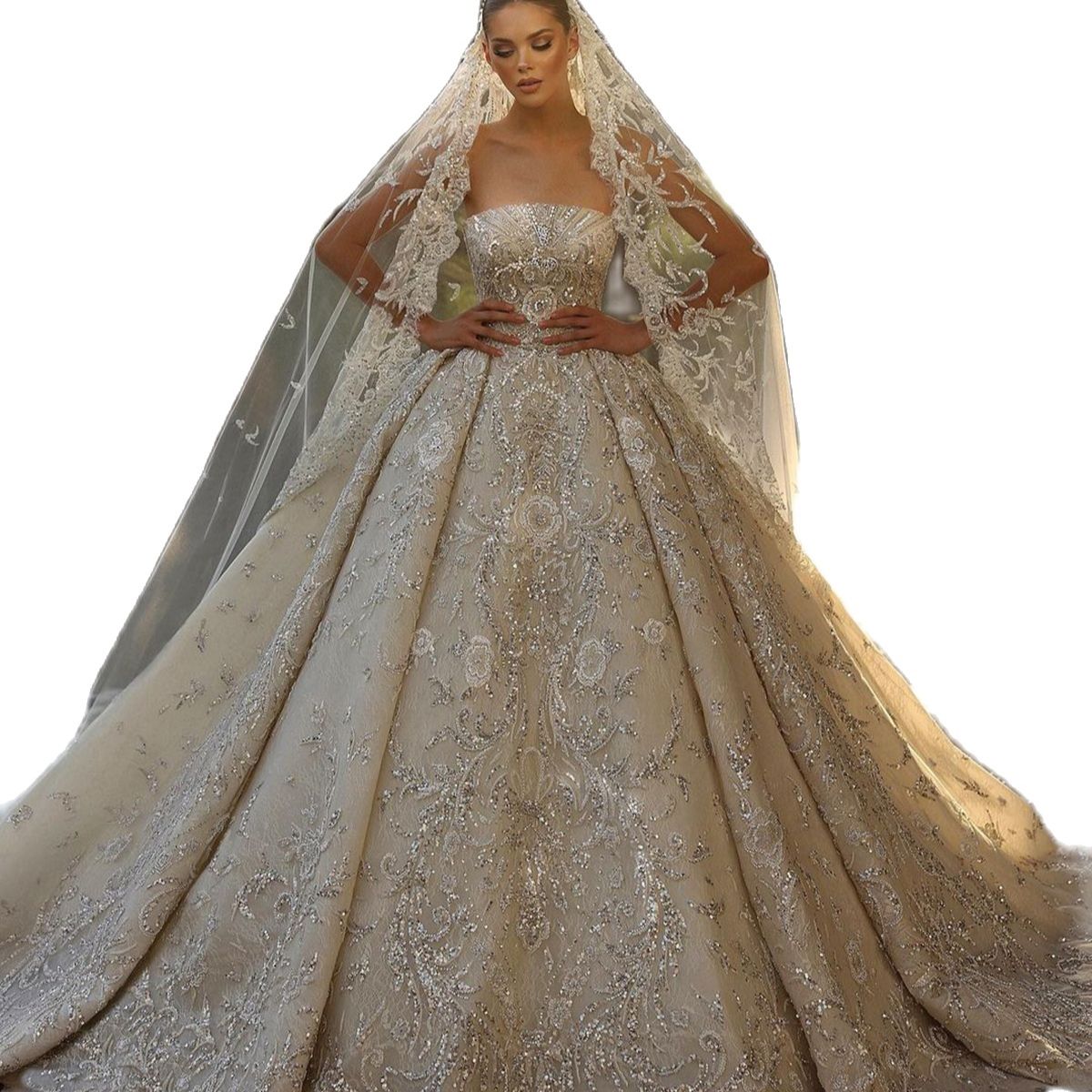 Exquisite Shiny Wedding Dresses Strapless Sleeveless Ball Gown Sequins Lace Applique Aso Ebi Bridal Gowns Arabic Dubai