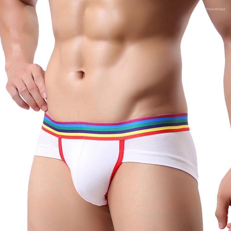 Underpants 10Pcs/Lot Mens Underwear Brief Thongs Patchwork Low Waist Breathable U Convex Soft Cotton Bulge Pouch Briefs G String, Black
Underpants 10Pcs/Lot Mens Underwear Brief Thongs Patchwork Low Waist Breathable U Convex Soft Cotton Bulge Pouch Briefs G String, Black