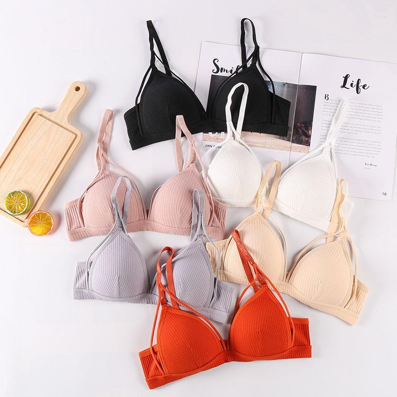 Bras Women Sexy Lace Lingerie Push Up Wirefree Underwear Bra Ultra Thin Soft Cup French Bralette Female Deep V Brassiere, Lj1041zr
Bras Women Sexy Lace Lingerie Push Up Wirefree Underwear Bra Ultra Thin Soft Cup French Bralette Female Deep V Brassiere, Lj1041zr
