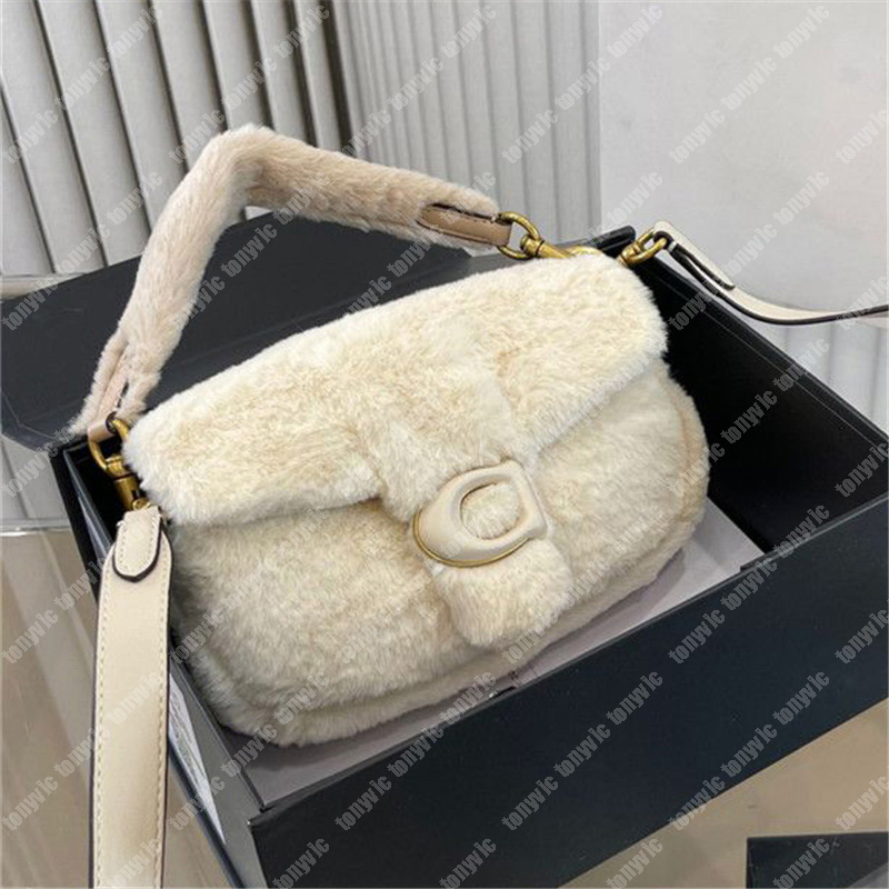 Tabby Handbag Women Designer Fluffy Hobo Luxury Totes Purses Fuzzy Designers Shoulder Bags Crossbody Bag Woman Hobos Purse Co Handbag, Grey
Tabby Handbag Women Designer Fluffy Hobo Luxury Totes Purses Fuzzy Designers Shoulder Bags Crossbody Bag Woman Hobos Purse Co Handbag, Grey