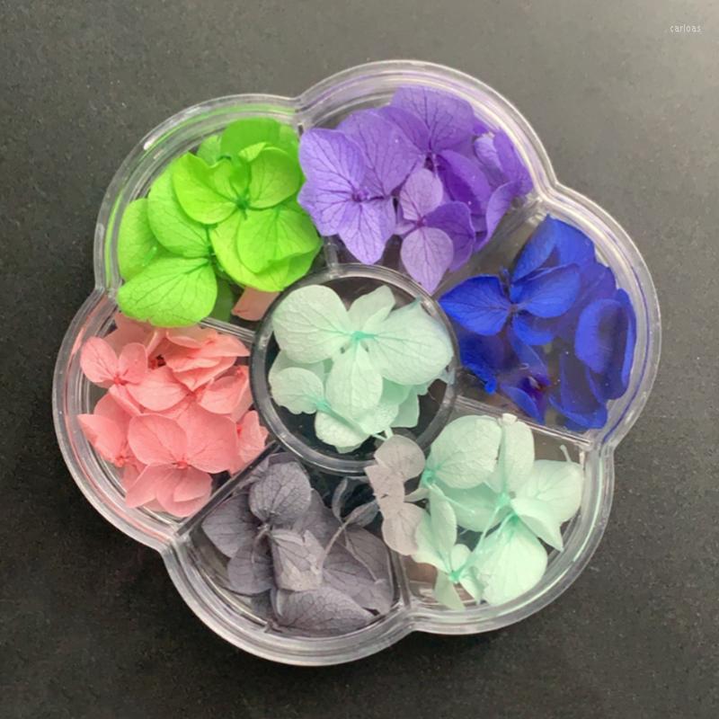 Nail Art Decorations 1Box Dried Flower Set 3D Petal Mixed Nails Decals Dry Floral Valentine's Day UV Gel Manicure Tips 12Colors
Nail Art Decorations 1Box Dried Flower Set 3D Petal Mixed Nails Decals Dry Floral Valentine's Day UV Gel Manicure Tips 12Colors
