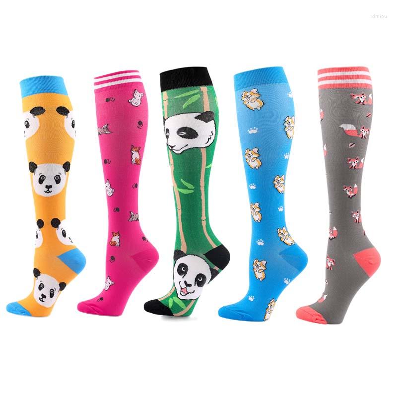 Men's Socks Four Seasons Men Compression 3Pairs/Lot Varicose Veins Sports Running Women Knee High Travel Cartoon Stocking
Men's Socks Four Seasons Men Compression 3Pairs/Lot Varicose Veins Sports Running Women Knee High Travel Cartoon Stocking