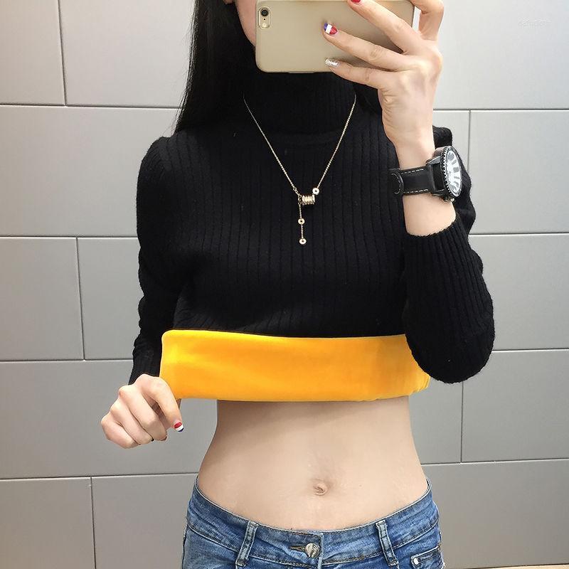 Women' Sweaters Woman Chandails Women' Turtleneck Sweater Autumn And Winter Slim Fit Inner Wear Knitwear, Black
Women' Sweaters Woman Chandails Women' Turtleneck Sweater Autumn And Winter Slim Fit Inner Wear Knitwear, Black