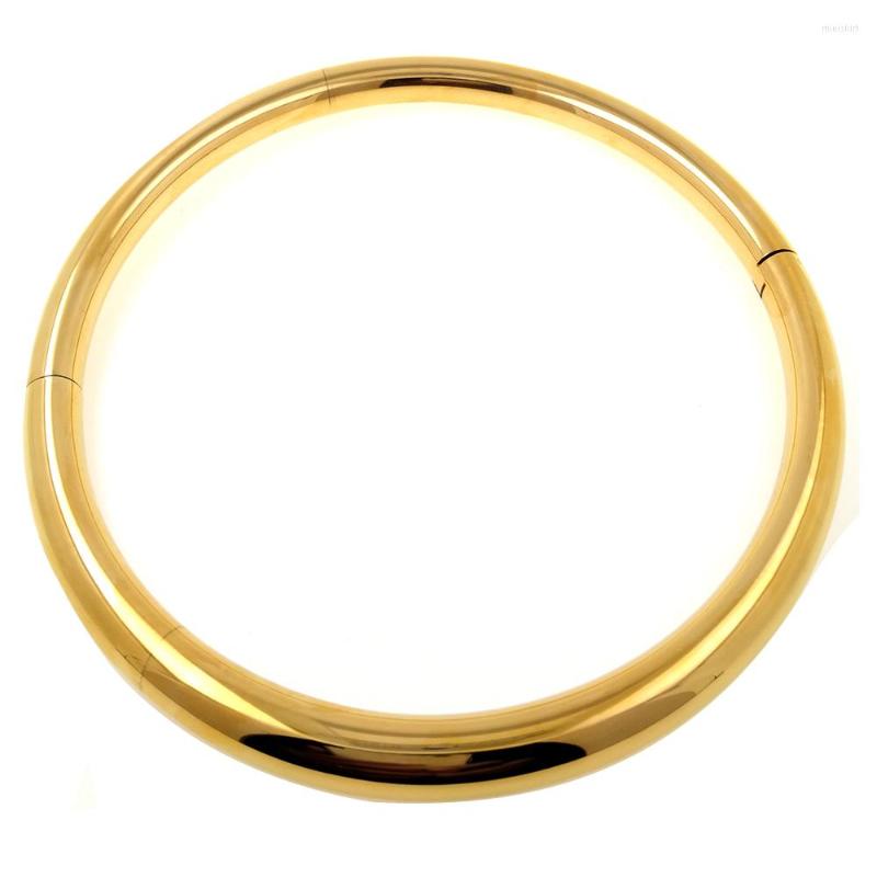 Pendants GOLD COLOR Polished Stainless Steel Choker Slave Necklace Fetish Wear Woman Men Body Jewelry Collar Fashion Torques
Pendants GOLD COLOR Polished Stainless Steel Choker Slave Necklace Fetish Wear Woman Men Body Jewelry Collar Fashion Torques