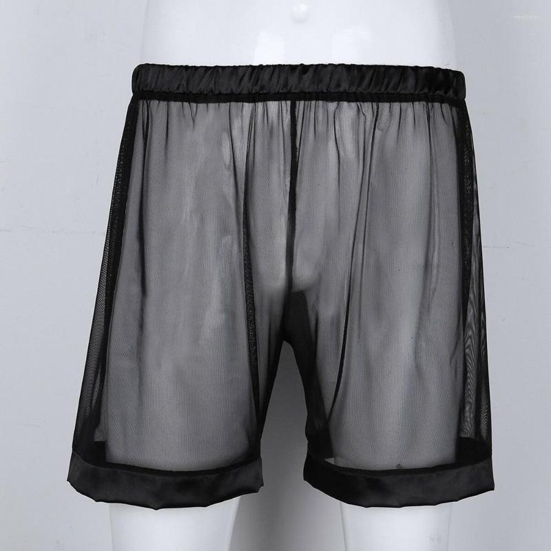 Underpants Men Underwear Sexy Mesh Boxer Briefs Long Leg Transparent Panties Shorts Pouch Boxershorts Slips Homme, Black
Underpants Men Underwear Sexy Mesh Boxer Briefs Long Leg Transparent Panties Shorts Pouch Boxershorts Slips Homme, Black