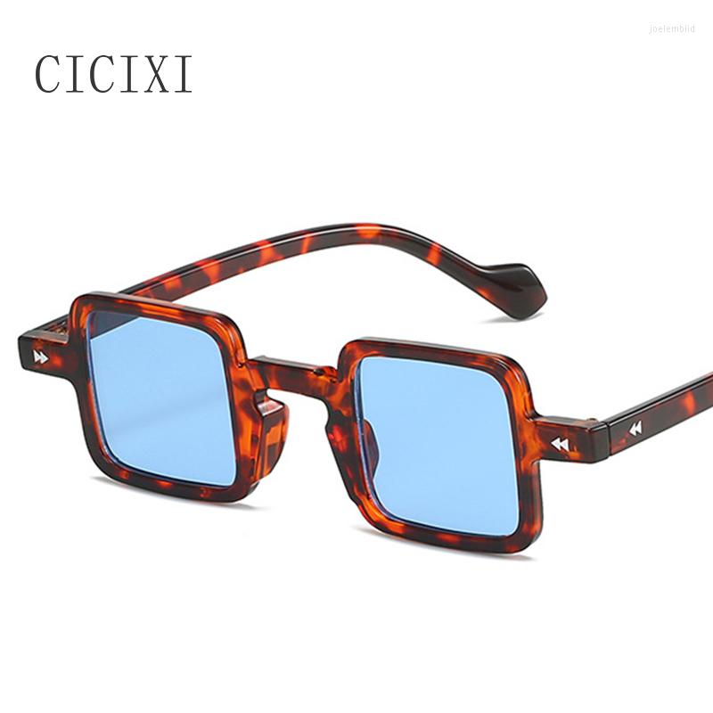 Sunglasses CICIXI Retro Small Square Women Men Clear Leopard Candy Color Lens Trending Punk Sun Glasses Shades UV400
Sunglasses CICIXI Retro Small Square Women Men Clear Leopard Candy Color Lens Trending Punk Sun Glasses Shades UV400