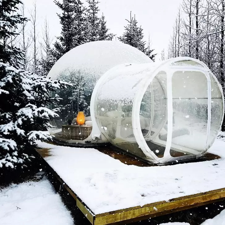 Factory Direct Sale Swings Inflatable Bubble Tree With Free Blower 3M Dia Bubble Hotel For Advertising Garden Igloo Camping Tent Dome
Factory Direct Sale Swings Inflatable Bubble Tree With Free Blower 3M Dia Bubble Hotel For Advertising Garden Igloo Camping Tent Dome