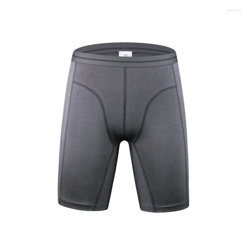 Underpants 2pcs Lot Mens Winter Thick Underwear Boxers Shorts Casual Cotton Knee Length Men Long Leg Sport Boxer Man Thin Underpans, Beige
Underpants 2pcs Lot Mens Winter Thick Underwear Boxers Shorts Casual Cotton Knee Length Men Long Leg Sport Boxer Man Thin Underpans, Beige
