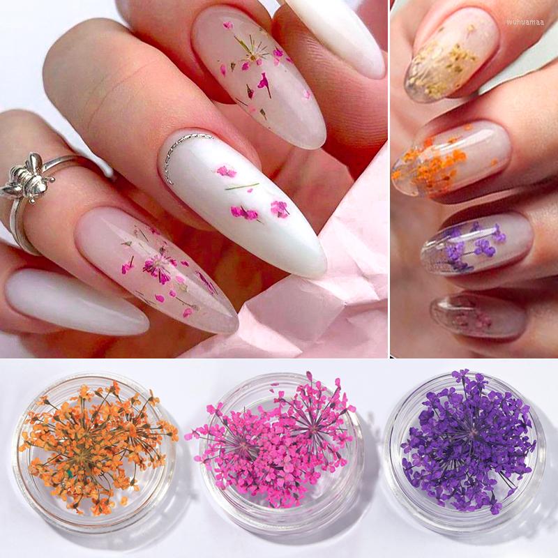 Nail Art Decorations 1PC 3D Dried Flower Nails Natural Floral Charms Jewelry Set Supplies For Professionals Accessories
Nail Art Decorations 1PC 3D Dried Flower Nails Natural Floral Charms Jewelry Set Supplies For Professionals Accessories