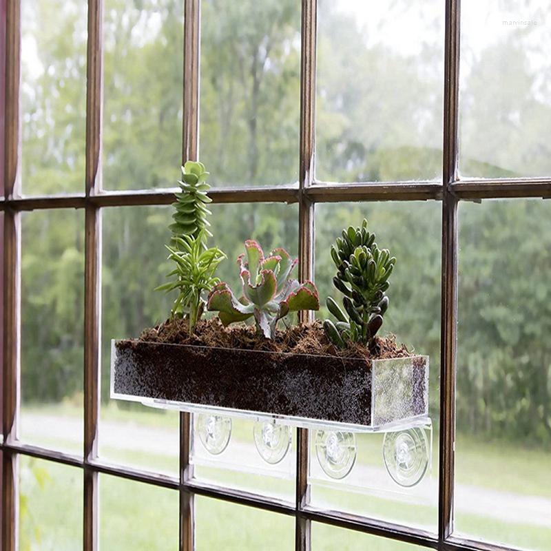 Jewelry Pouches Bonsai Suction Cup Acrylic Ledge Window Shelf Bathroom Display Rack Cosmetics Receive
Jewelry Pouches Bonsai Suction Cup Acrylic Ledge Window Shelf Bathroom Display Rack Cosmetics Receive