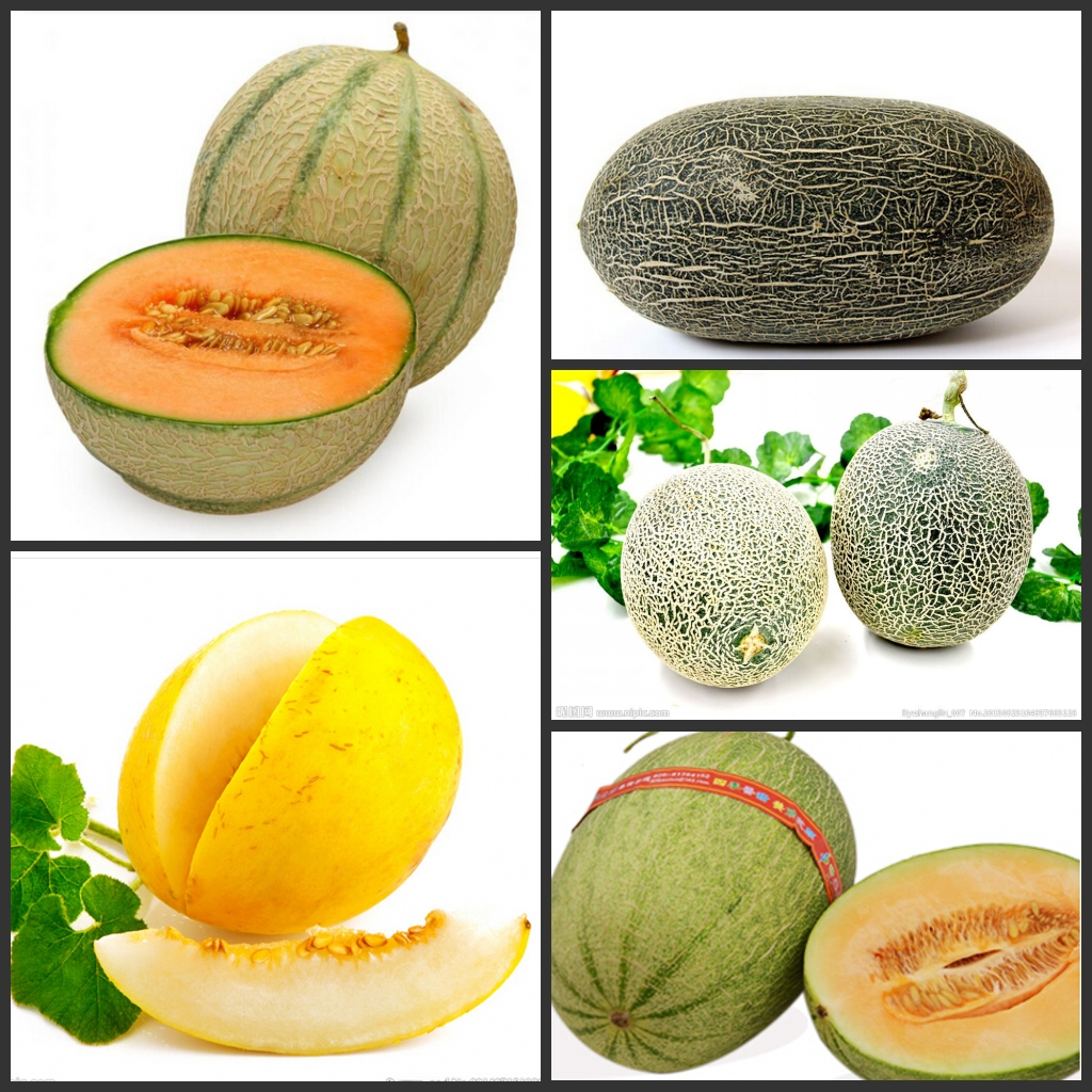 10PCS " Sweet Melon " Fruit Seeds Rare flower Plant Semillas Selected sementes for Garden decoration
10PCS " Sweet Melon " Fruit Seeds Rare flower Plant Semillas Selected sementes for Garden decoration