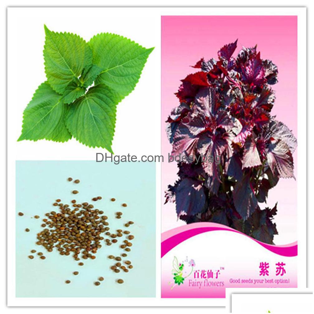 Other Garden Supplies 1 Packoriginalpackage Purple Perilla Shiso Potted Grass Bonsai Plant Flower Seeds Pink Hardy Perennial Drop De Dhevc
Other Garden Supplies 1 Packoriginalpackage Purple Perilla Shiso Potted Grass Bonsai Plant Flower Seeds Pink Hardy Perennial Drop De Dhevc