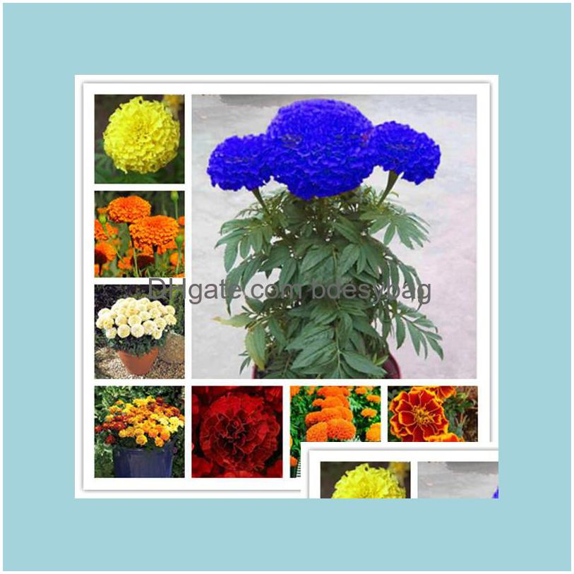 Other Garden Supplies 100Pcs Marigold Flower Seeds For Bonsai Plants Purify The Air Absorb Harmf Gases Garden Decorations Decorative Dhu2G
Other Garden Supplies 100Pcs Marigold Flower Seeds For Bonsai Plants Purify The Air Absorb Harmf Gases Garden Decorations Decorative Dhu2G
