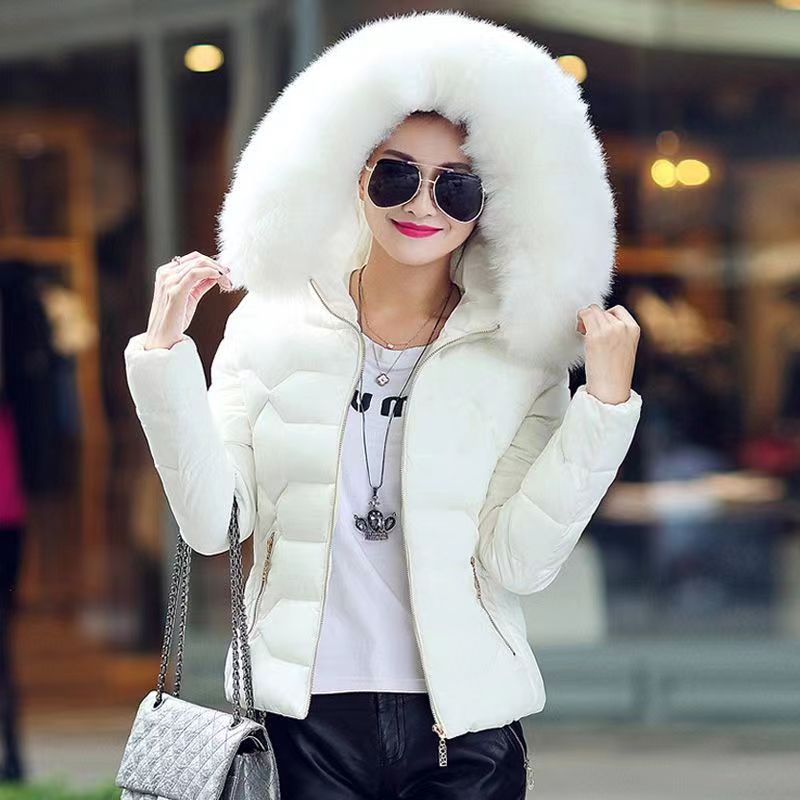 QNPQYX New Fashion Winter Parkas Women Warm Coat Short Female Jackets Ladies Parka Winter Women Fur collar Hooded Outwear jacket, A1
QNPQYX New Fashion Winter Parkas Women Warm Coat Short Female Jackets Ladies Parka Winter Women Fur collar Hooded Outwear jacket, A1