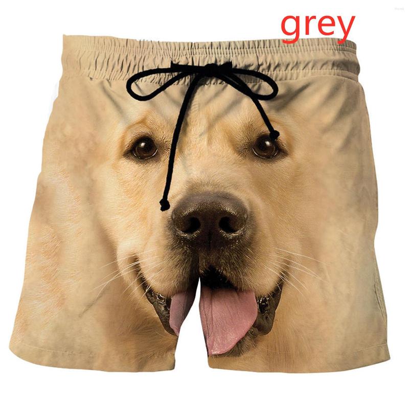 Men's Shorts 2022 Fashion Pets Dog Casual 3D Printed Men's Summer Cute Funny Animal, White
Men's Shorts 2022 Fashion Pets Dog Casual 3D Printed Men's Summer Cute Funny Animal, White