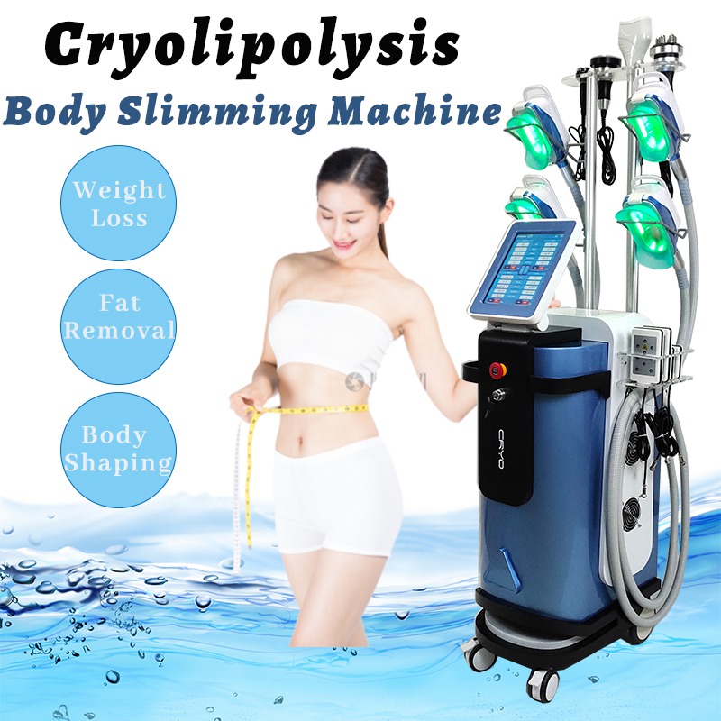 Mini Cryo Heads Double Chin Removal Cryolipolisis Slimming Machine Weight Loss 40k Ultrasonic Cavitation Fat Reduction Vertical Equipment
Mini Cryo Heads Double Chin Removal Cryolipolisis Slimming Machine Weight Loss 40k Ultrasonic Cavitation Fat Reduction Vertical Equipment