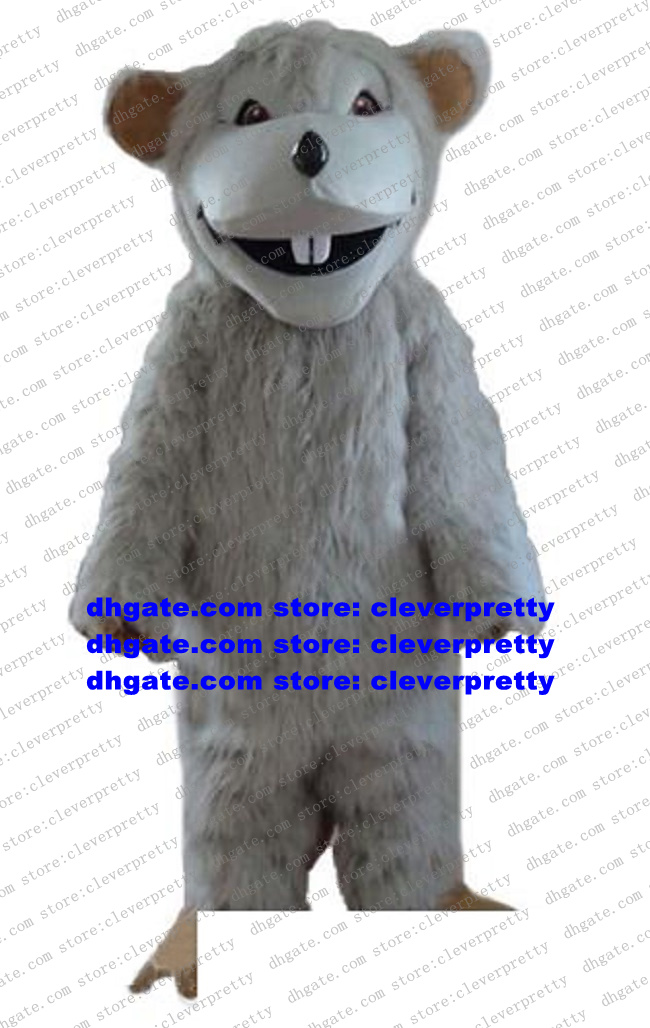 Possum Opossum Didelphid Didelphis Mascot Costume Crash Mouse Rat Mice Adult Character Welcoming Banque Department Store zx203, As in photos
Possum Opossum Didelphid Didelphis Mascot Costume Crash Mouse Rat Mice Adult Character Welcoming Banque Department Store zx203, As in photos