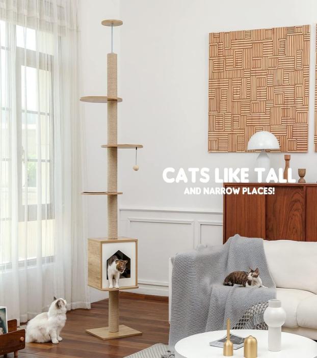 Cat Tree Floor to Ceiling Adjustable Activity Center High Kitten MultiLevel Condo with Scratching Post Pad Hammock Cat Tower 22059850050
Cat Tree Floor to Ceiling Adjustable Activity Center High Kitten MultiLevel Condo with Scratching Post Pad Hammock Cat Tower 22059850050