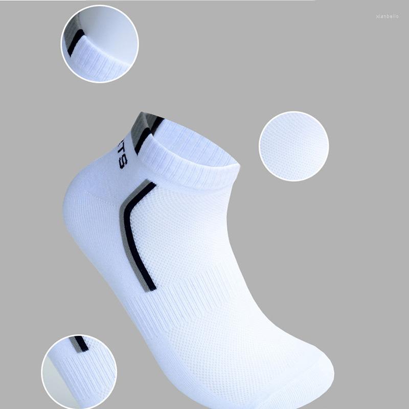 Men's Socks 10pcs Men Casual Cotton Sports Breathable Soft White, E white grey 39-43
Men's Socks 10pcs Men Casual Cotton Sports Breathable Soft White, E white grey 39-43