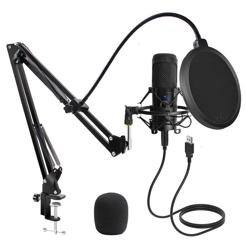 Microphones USB Microphone Condenser D80 Recording Microphone with Stand and Ring Light for PC Karaoke Streaming Podcasting for Youtube 221115