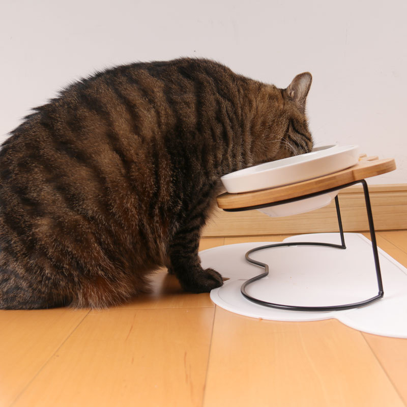 Dog Bowls Feeders Ceramic Double Cat Pet Feeding Water Puppy Feeder Product Supplies Food And For s 221114