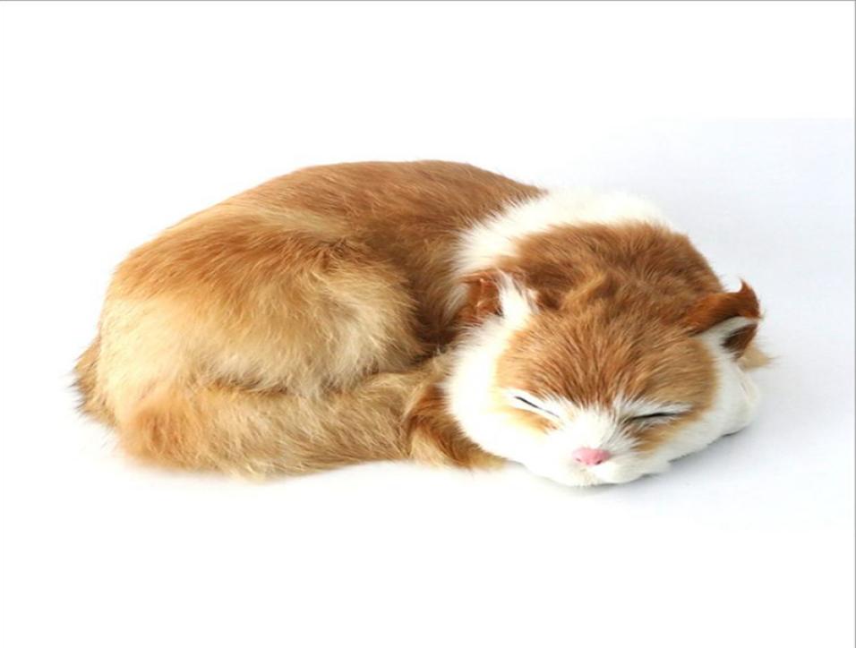 simulation cat animal model realistic animals doll toy FurPlastic Mold kitten home furnishing pography props deco DY80070, White 
simulation cat animal model realistic animals doll toy FurPlastic Mold kitten home furnishing pography props deco DY80070, White