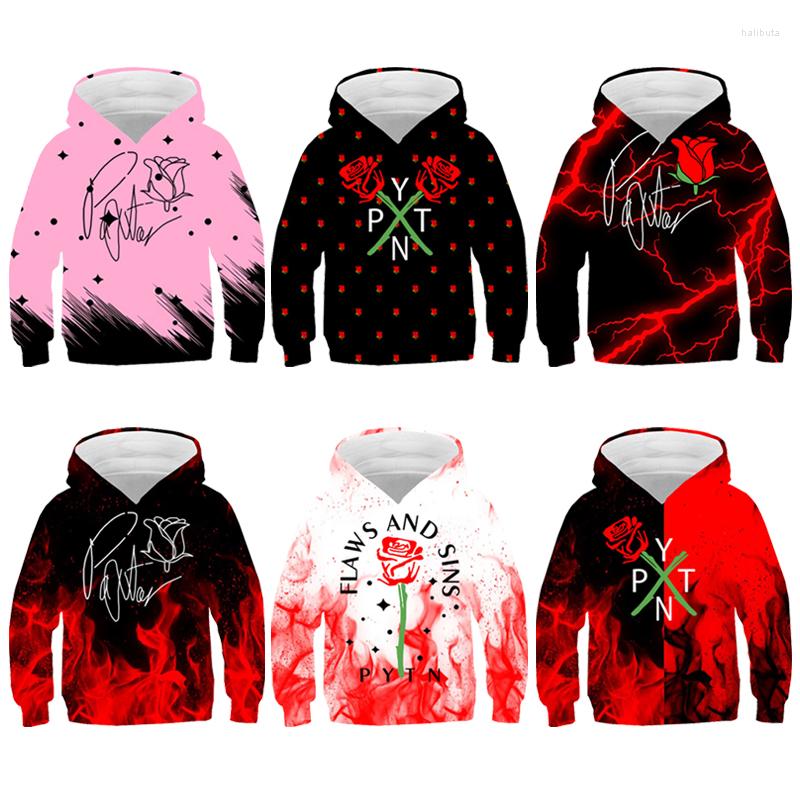 Men' Hoodies Funny Payton Moormeier Hoodie 3D PYTN Red Rose Children' Sweatshirt Adults Pullover Women Streetwear Teenagers Clothes, G17
Men' Hoodies Funny Payton Moormeier Hoodie 3D PYTN Red Rose Children' Sweatshirt Adults Pullover Women Streetwear Teenagers Clothes, G17