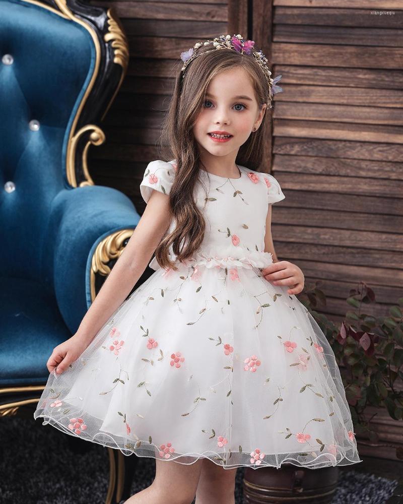 Girl Dresses 2022 Flower-Dress Girls' Elegant Princess Dress Embroidered Children's Small Host Flower, Pink
Girl Dresses 2022 Flower-Dress Girls' Elegant Princess Dress Embroidered Children's Small Host Flower, Pink