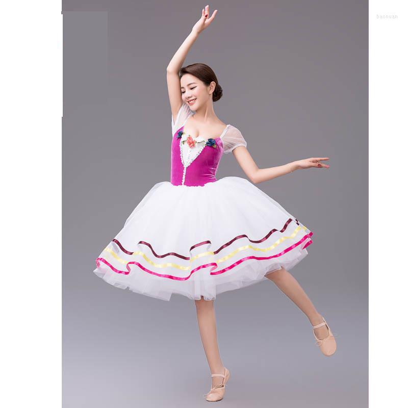 Stage Wear Children's Women's White Long Ballet Professional Dance Skirt Performance Dress, Pink
Stage Wear Children's Women's White Long Ballet Professional Dance Skirt Performance Dress, Pink
