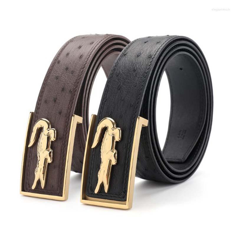 Belts Dae South African Ostrich Men Belt Leather Fashion Casual Smooth Buckle Steel Width 3.8 Cm, Black
Belts Dae South African Ostrich Men Belt Leather Fashion Casual Smooth Buckle Steel Width 3.8 Cm, Black