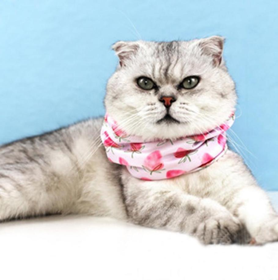 Cat Costumes Dog Cooling Bandana Pet Self Cooler Necklace Ice Scarf Collar For Summer Travel SP99
Cat Costumes Dog Cooling Bandana Pet Self Cooler Necklace Ice Scarf Collar For Summer Travel SP99