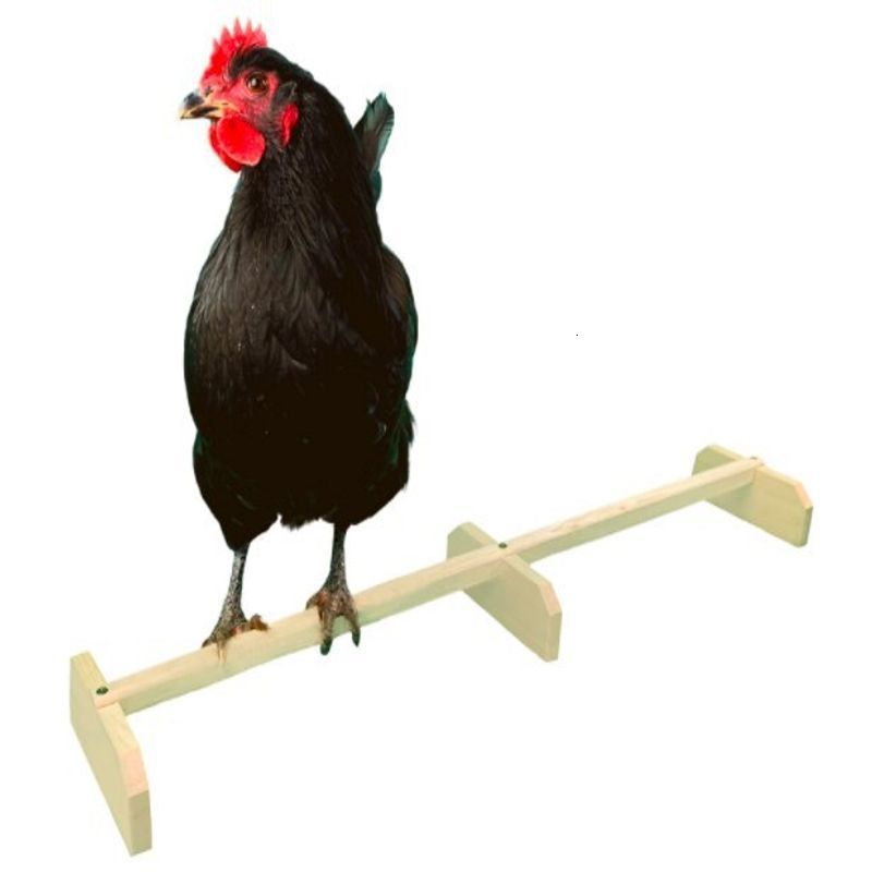 Other Pet Supplies Parrot Shelf Lightweight Balancing Standing Frame Nonslip Chicken Frame Wood for catching chewing playing 221122